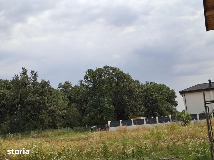 Teren de 1600 mp, în Cernica