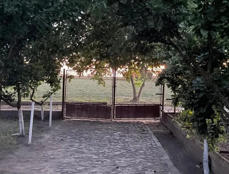 Casă cu 6 camere cu Teren 3000 Mp în Jimbolia