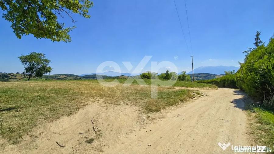 Teren în Poiana Mărului