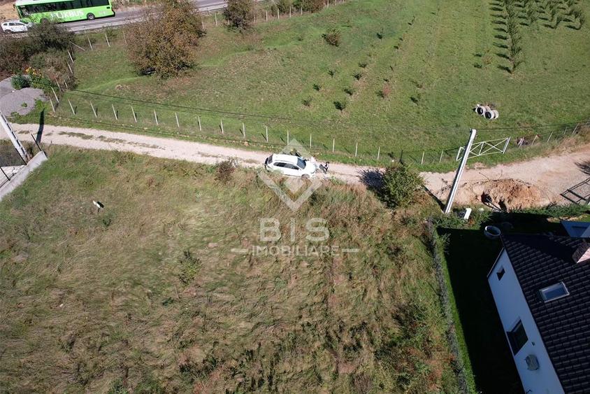 Teren Construcții intravilan de 2500 mp, în Viișoara