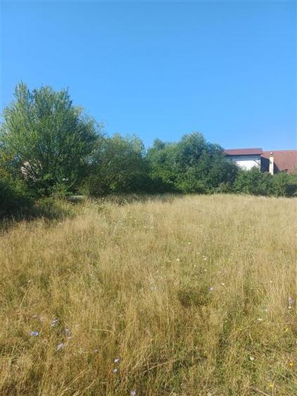 Teren agricol intravilan de 600 mp, în Periferie