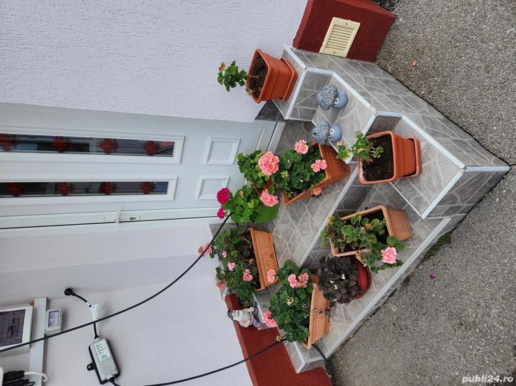 Casă cu 4 camere cu Teren 563 Mp în Central