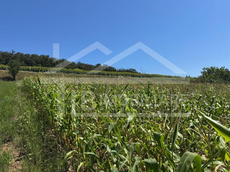 Teren agricol intravilan de 1735 mp, în Remetea