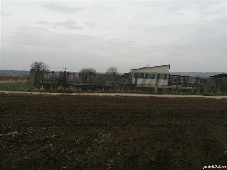 Teren de 8800 mp, în Vinerea