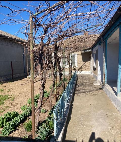 Casa Com. Mahmudia - 1