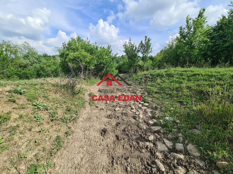Teren Construcții intravilan de 1954 mp, în Câmpina