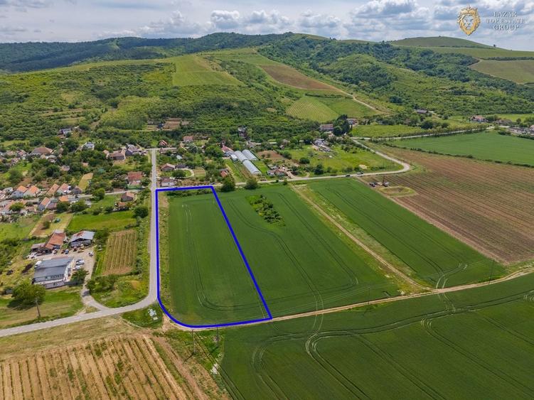 Teren agricol intravilan de 6400 mp, în Miniș