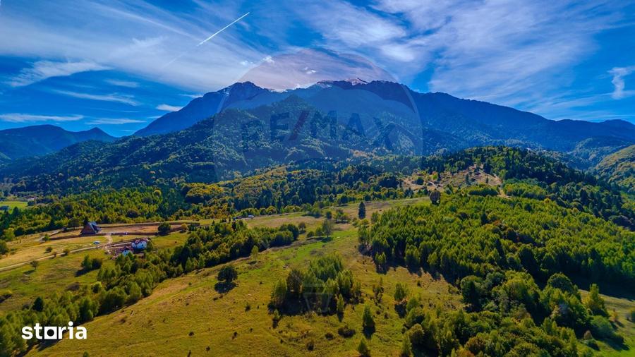 Teren de 4253 mp, în Râșnov