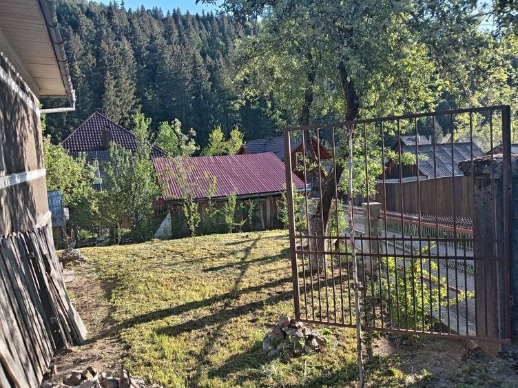 Casă cu 3 camere în Scărișoara