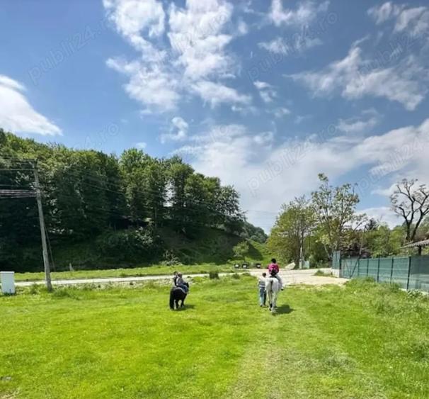 Teren de 800 mp, în Costești