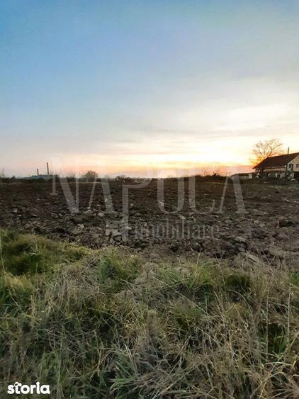 Teren de 523 mp, în Oncea