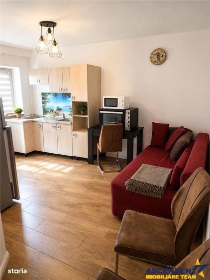 Studio, in vila cu tereasa in curte, aria Grivitei, Brasov - 4