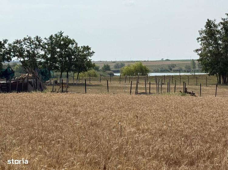 Teren intravilan Miersig, vedere la lac. 12,5 E/mp neg. Comision 0 - 5