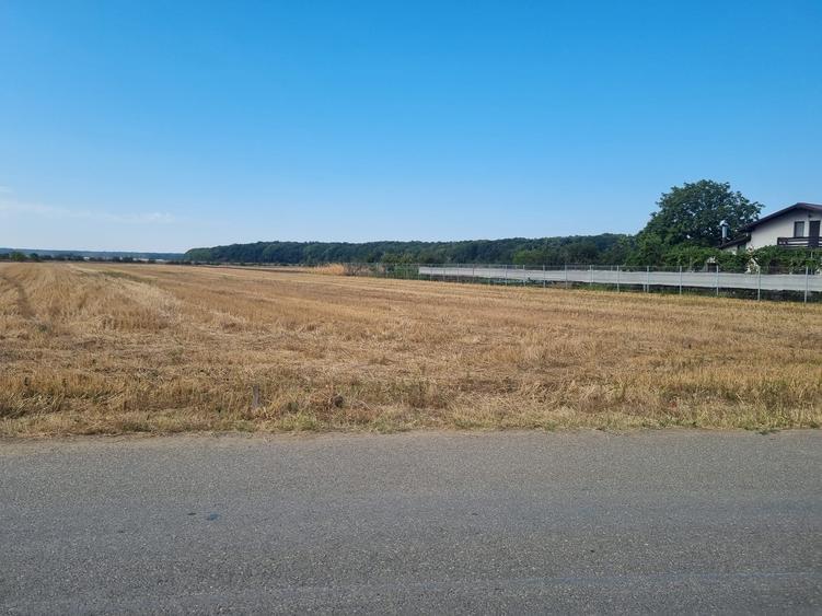 Teren agricol extravilan de 6200 mp, în Gruiu