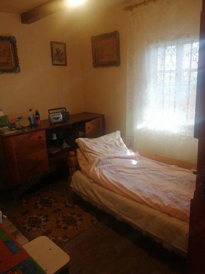 Casă cu 3 camere cu Teren 5000 Mp în Dienci