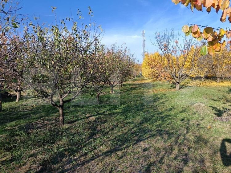 Teren Construcții intravilan de 3325 mp, în Măgurele