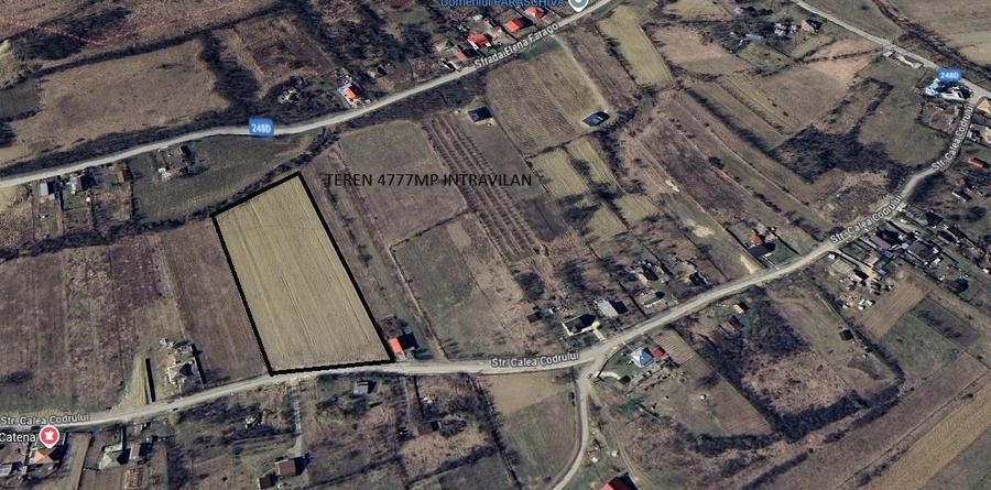 Teren Construcții intravilan de 4777 mp, în Bârnova