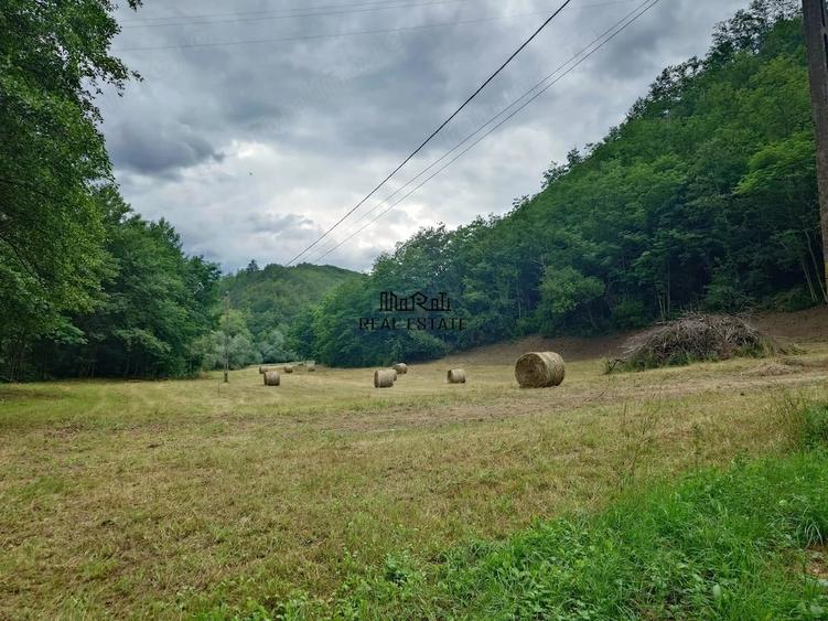 Teren de 5800 mp, în Podele