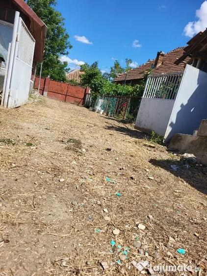 Casă cu 4 camere în Banloc