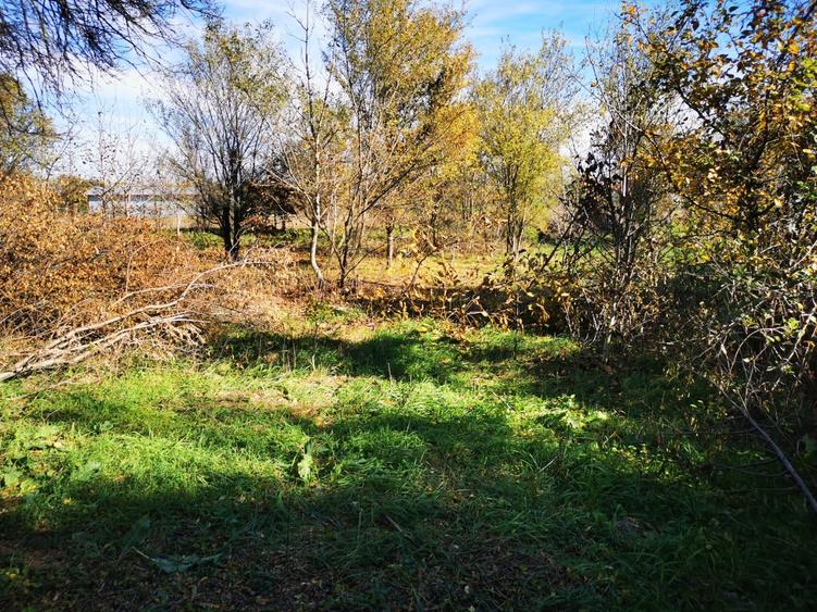 Casă individuală cu 2 camere cu Teren 2500 Mp în Gruiu