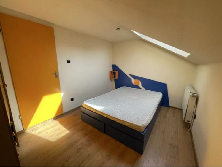 Casa 225 mp Zona Iris Ideala pentru doua familii! - 4