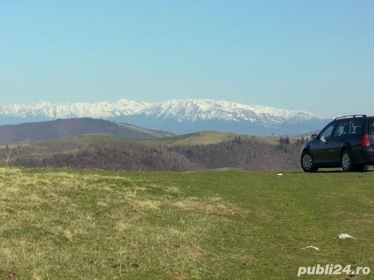 Teren de 10632 mp, în Paltin