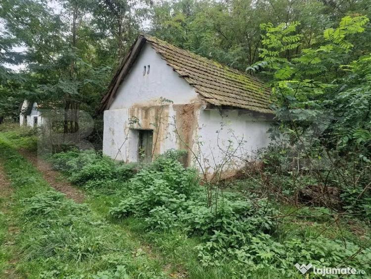 Teren de 79000 mp, în Central
