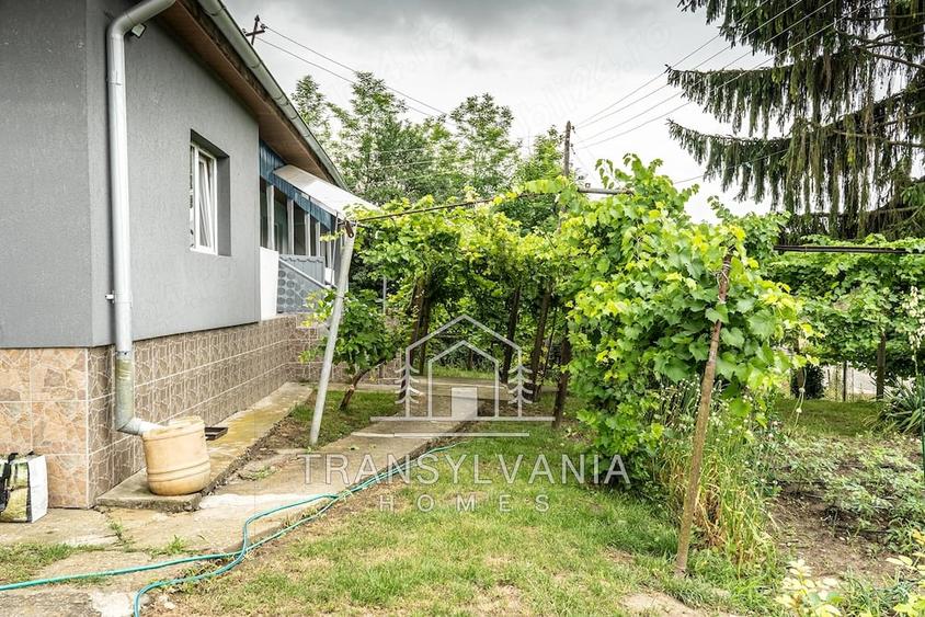 Casă cu Teren 1425 Mp în Năsal