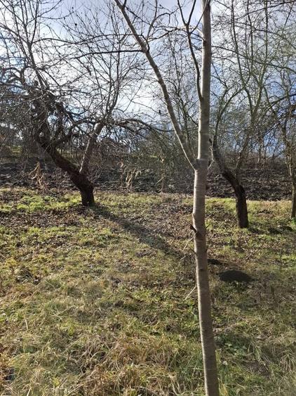 Casă cu 2 camere în Cătina