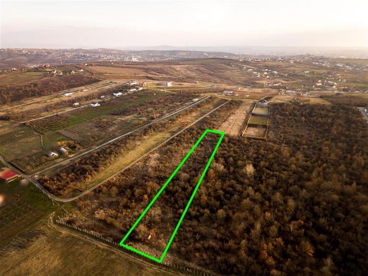 Teren intravilan de 4333 mp, în Săldăbagiu de Munte