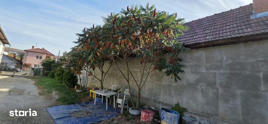 Casă cu 5 camere cu Teren 1219 Mp în Baciu