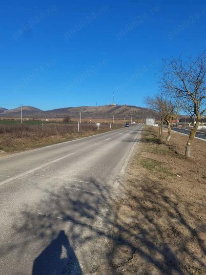 Teren de 900 mp, în Mahmudia