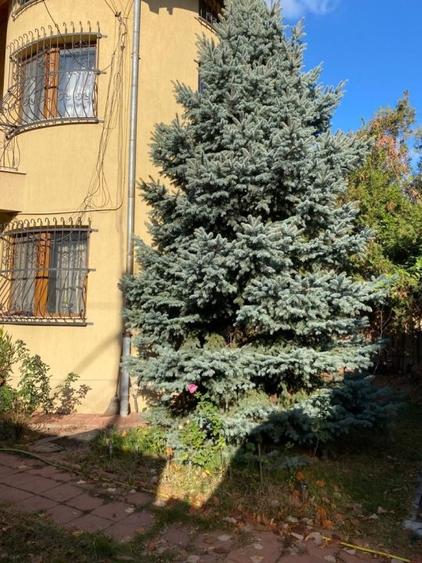 Casă individuală cu 6 camere cu Canalizare în Bd. Laminorului
