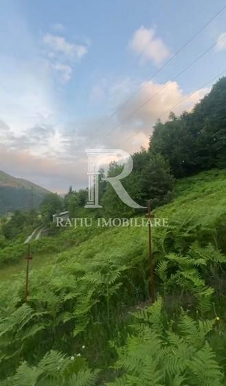 Teren 10.900mp | Panoramă în Apuseni | Remeți -Ideal pentru Investitii - 9