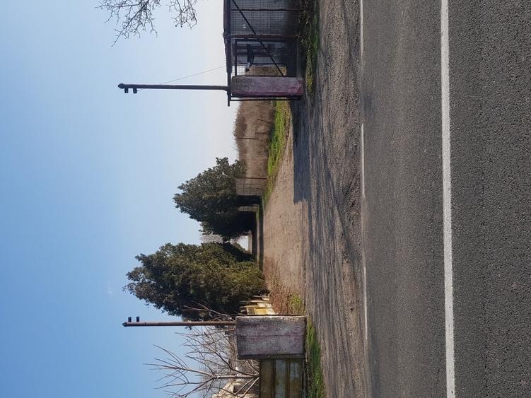 Teren agricol extravilan de 150000 mp, în Central