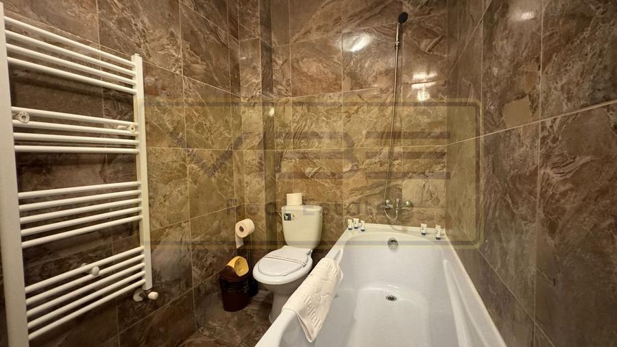 Apartament 1 camera TIP STUDIO  zona Tudor Office Center - Parc Oancea - 13