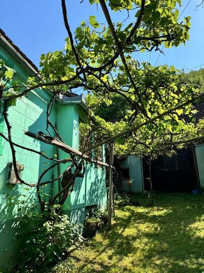 Casă cu 3 camere în Gura Râului