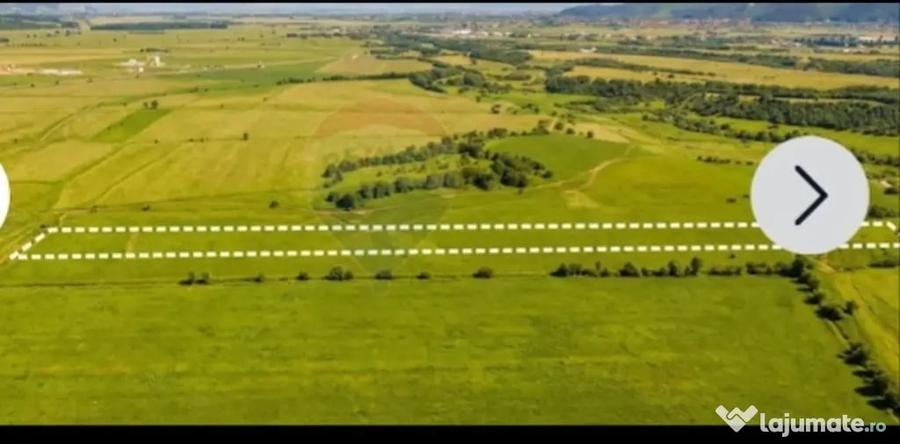Teren în Central