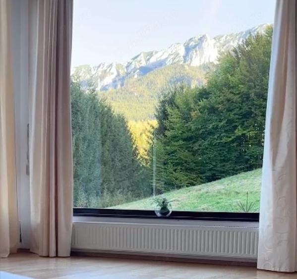 Casă cu Teren 20000 Mp în Plaiul Foii