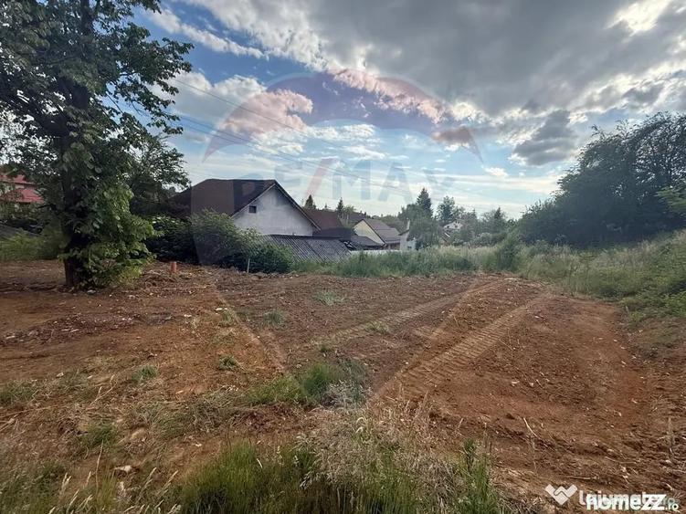 Teren în Griviței