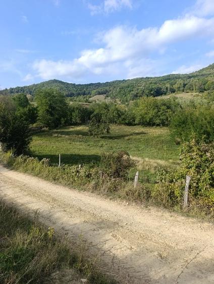 Teren de 4400 mp, în Poșta Câlnău