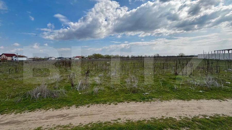 Teren Construcții extravilan de 1323 mp, în Cernele