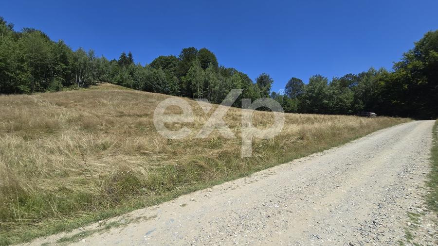 Teren agricol extravilan de 36200 mp, în Poiana Mărului