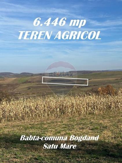 Teren agricol extravilan de 12934 mp, în Bogdand