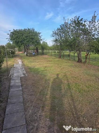 Casă cu 2 camere cu Teren 2000 Mp în Trivale
