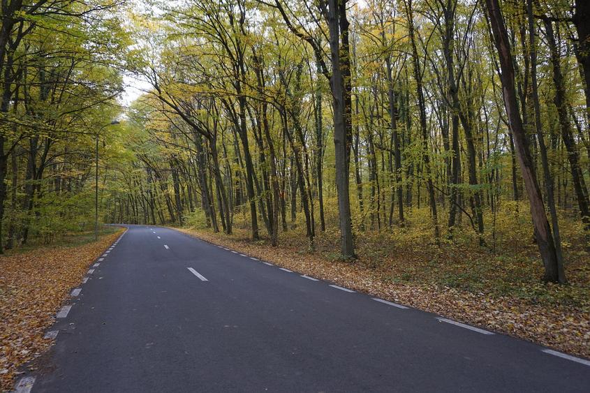 Teren agricol intravilan de 2800 mp, în Ciolpani