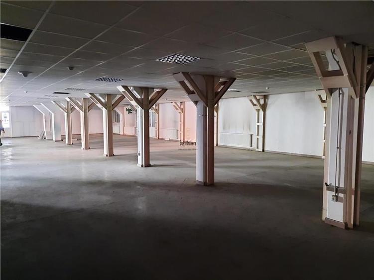 Spațiu industrial, de 500 mp, în Viile Sibiului