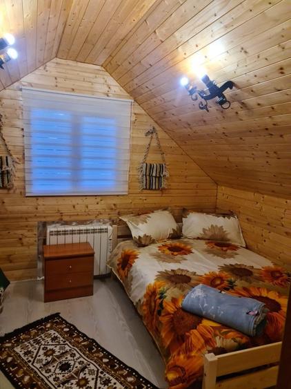 Casă cu 3 camere în Muntele Cacovei