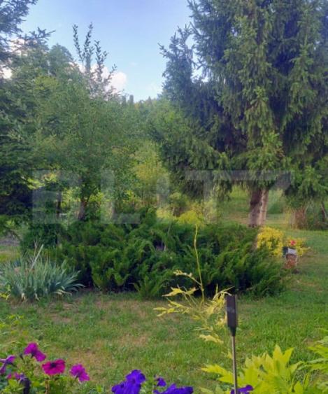 Casă cu 4 camere cu Teren 7729 Mp în Central