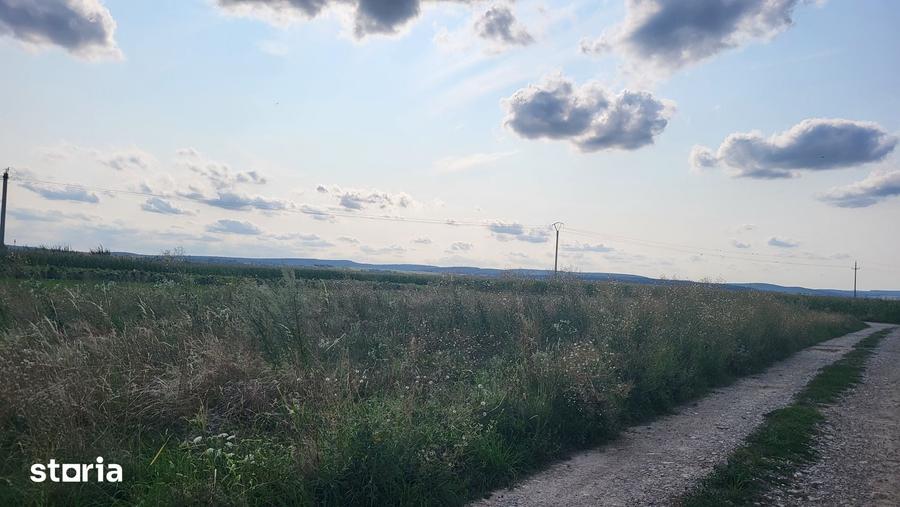 Teren de 13000 mp, în Curtești